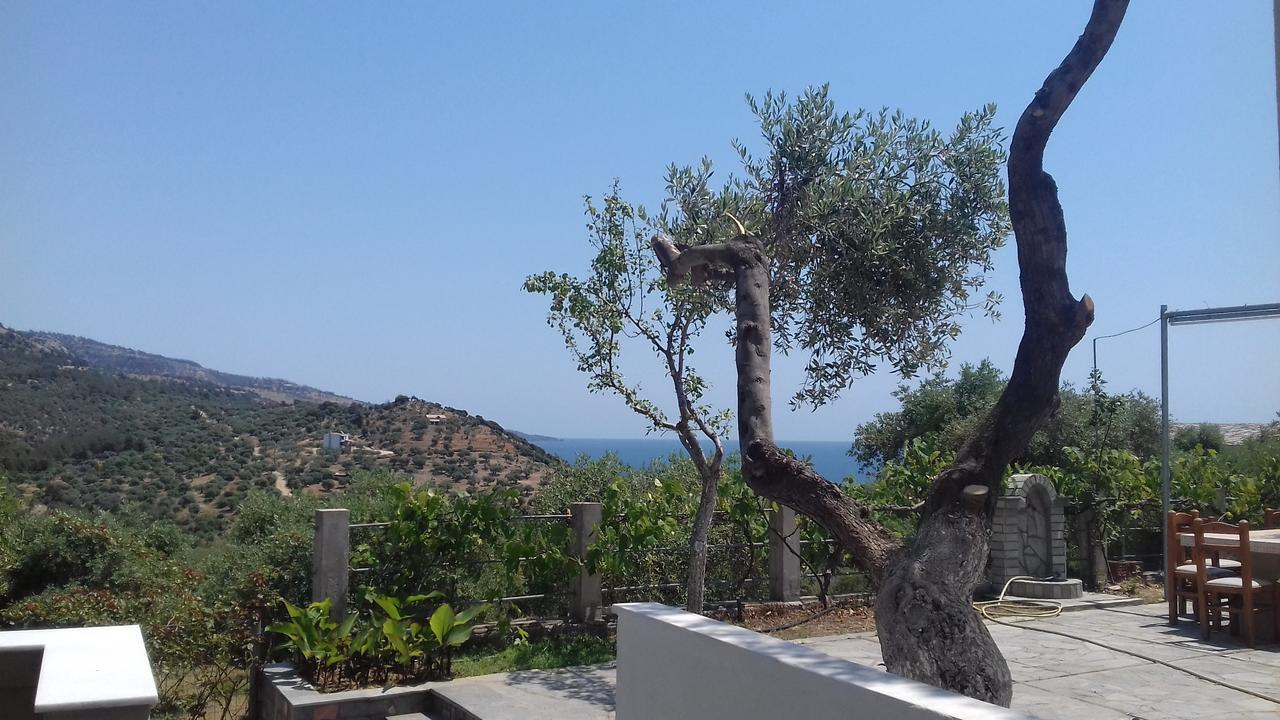 Giola By Astris View Studios Εξωτερικό φωτογραφία